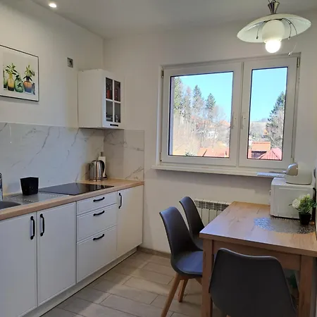 Zdrojowa 20, Apartment Duszniki Zdrój