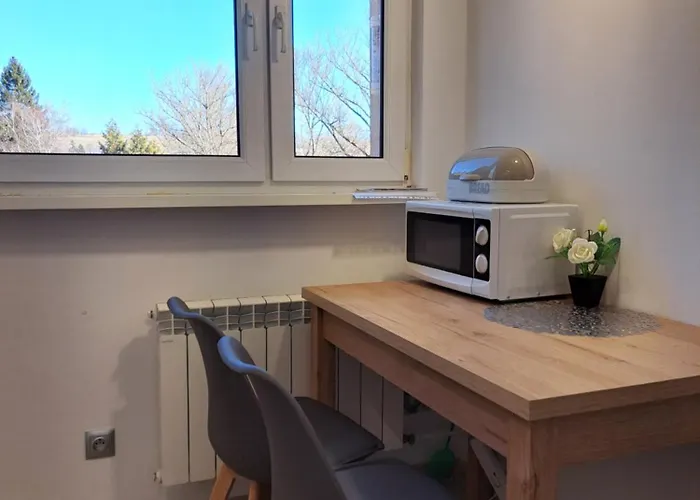 Zdrojowa 20, Appartement Duszniki Zdrój